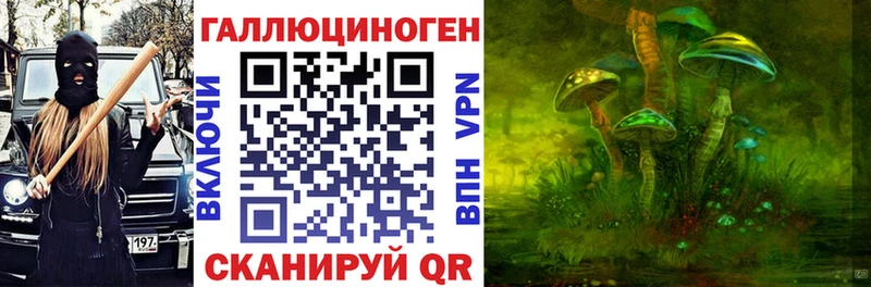 Псилоцибиновые грибы мицелий  Каспийск 