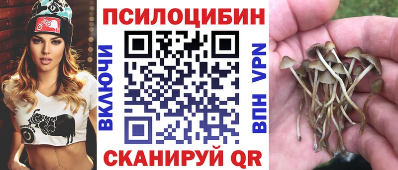 Псилоцибиновые грибы мицелий Каспийск