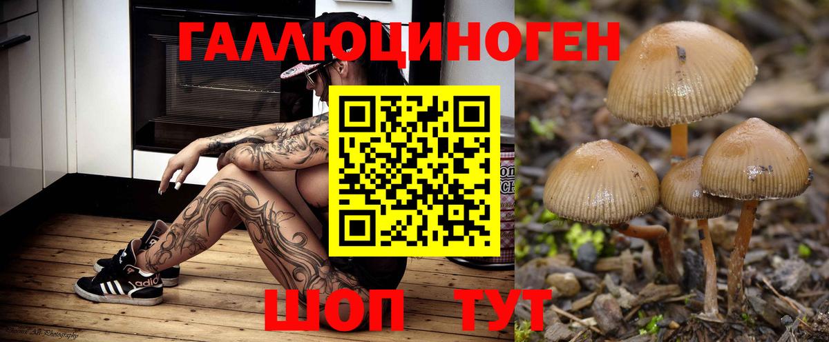 Каспийск  МАРИХУАНА  ЭКСТАЗИ  ГАШИШ  Меф МЯУ МЯУ   Вход с VPN  Cocaine 