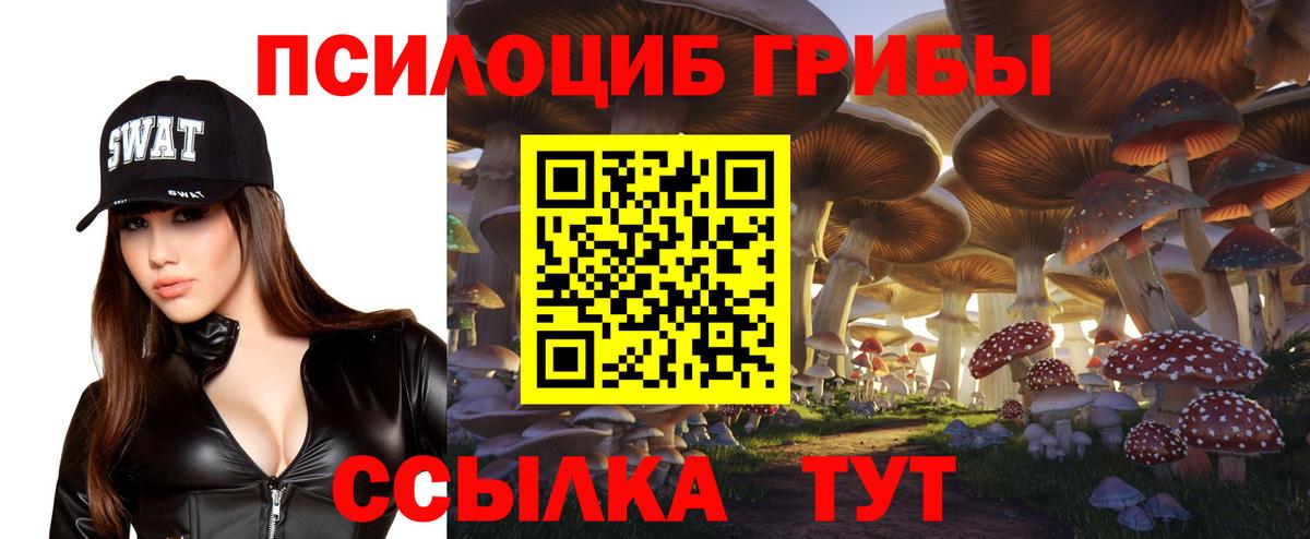 Галлюциногенные грибы прущие грибы  Вход с VPN  Каспийск 