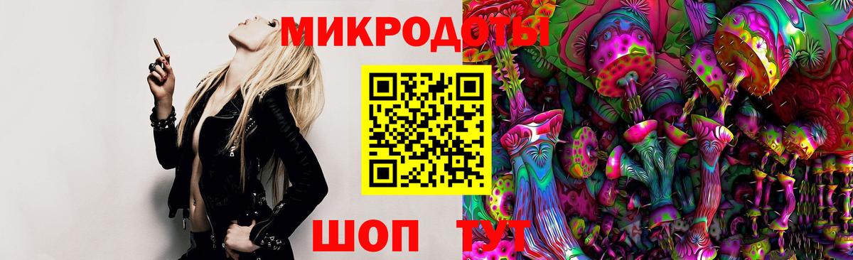 Псилоцибиновые грибы Psilocybine cubensis Каспийск